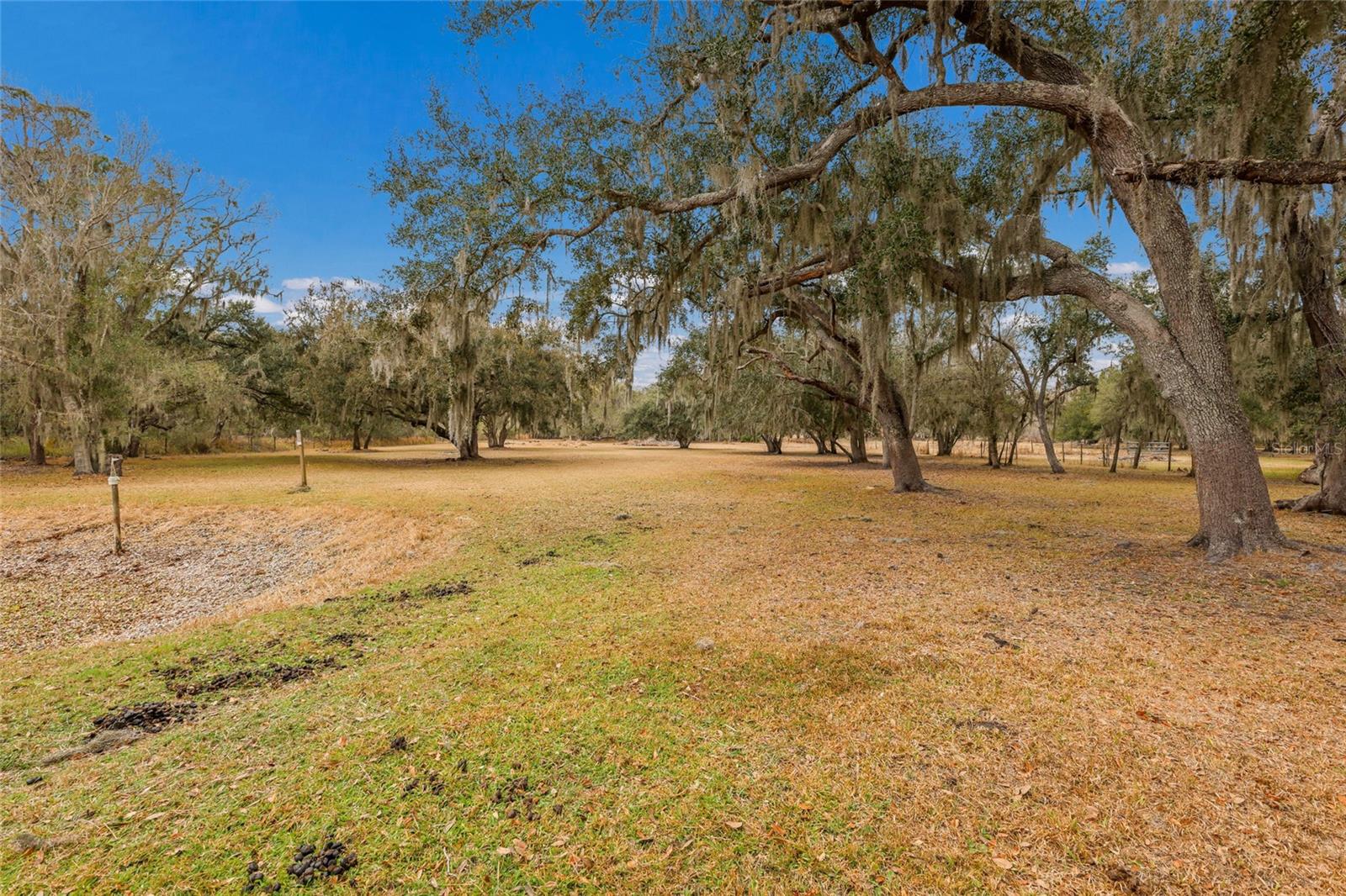 Image 35 of 48 For 2731 Logue Road