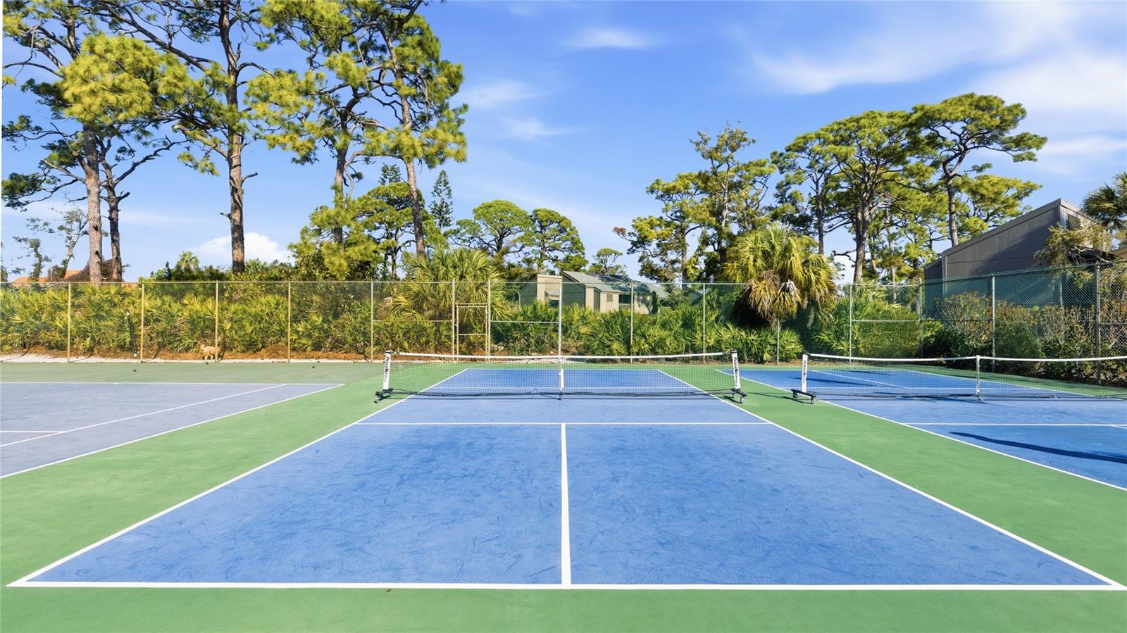 Image 42 of 44 For 288 Woods Point Road