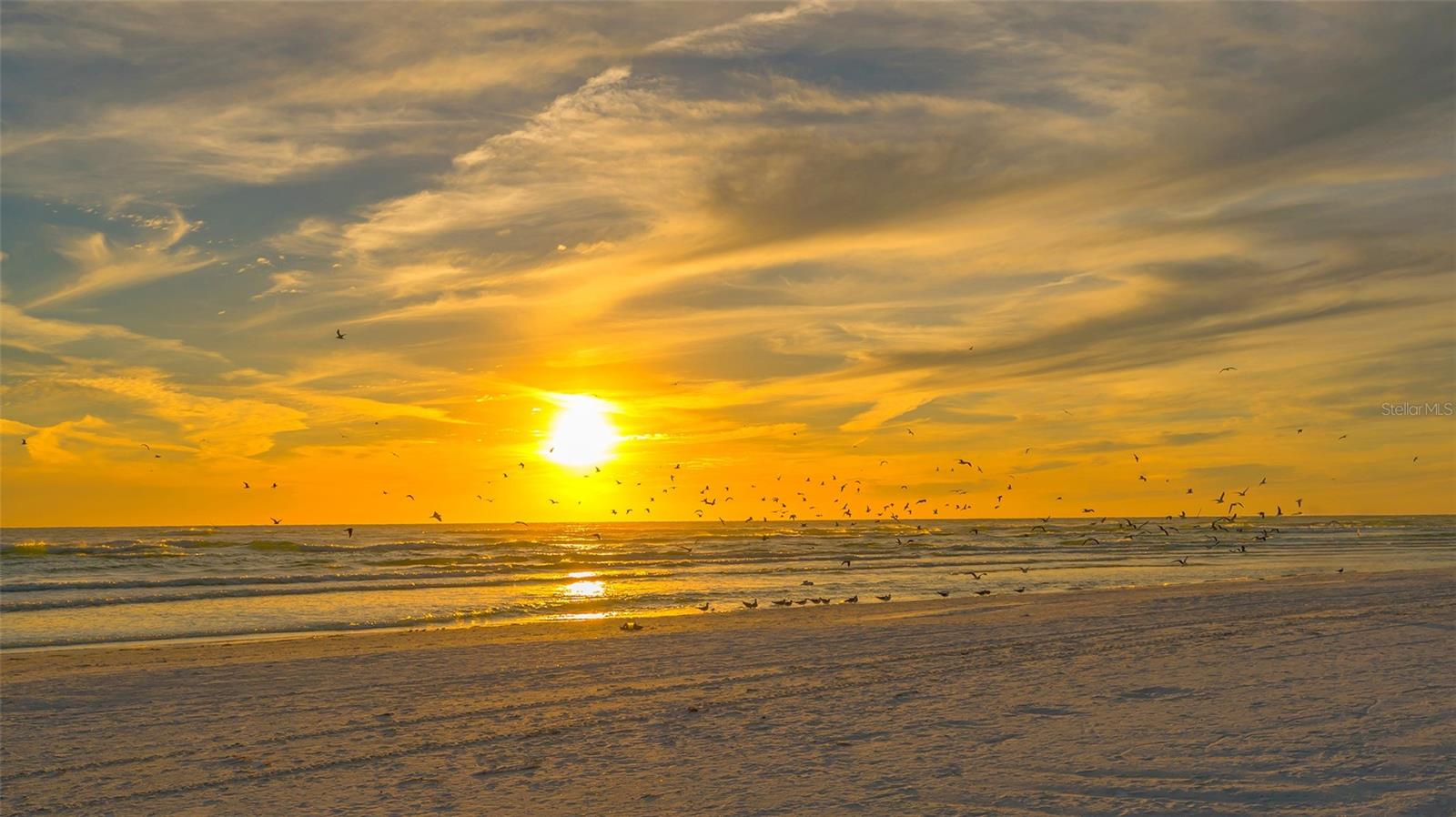 Image 42 of 52 For 2904 Homasassa Road