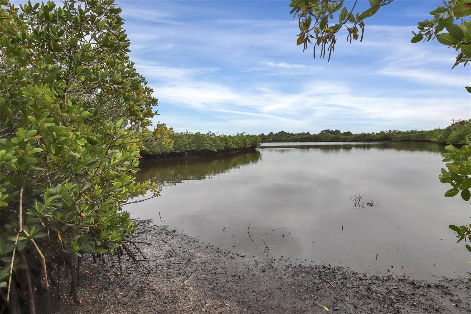 Image 41 of 54 For 850 Tidewater Shores Loop 301