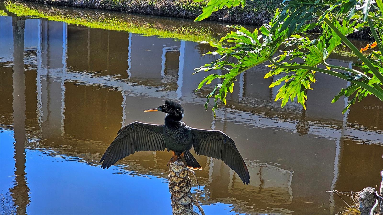 Image 23 of 37 For 6033 34th Street W 38