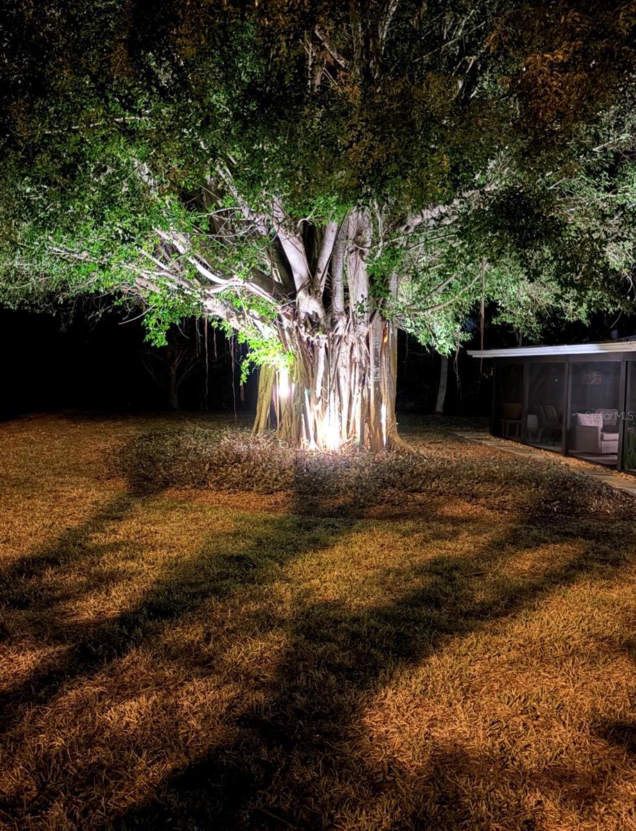 Image 42 of 70 For 401 Picasso Drive