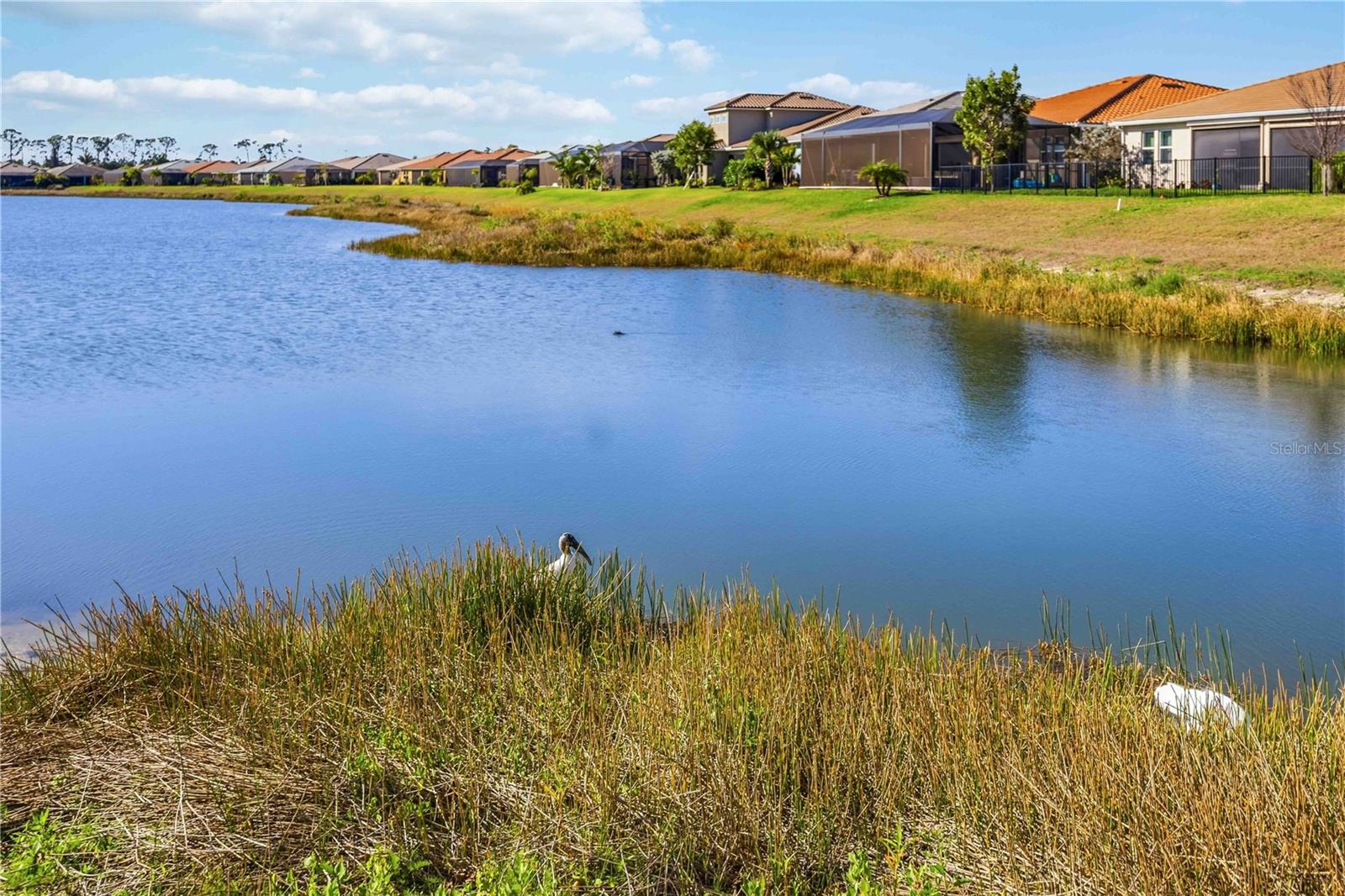 Image 18 of 28 For 20453 Bandera Place