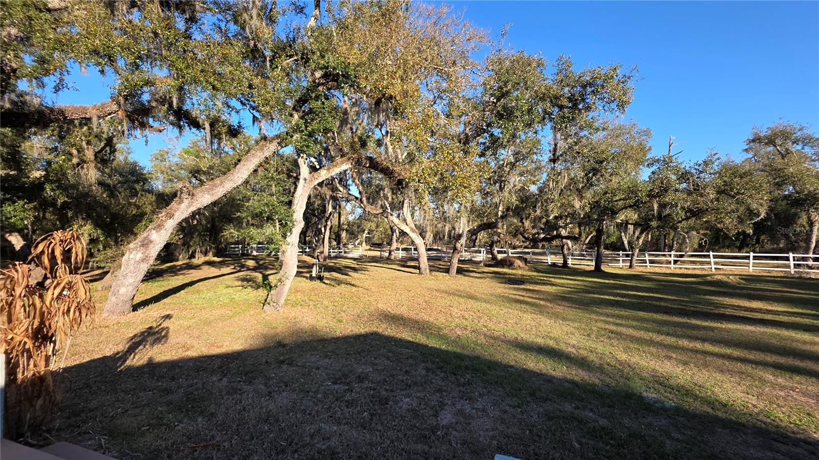 Image 37 of 85 For 36442 Singletary Road