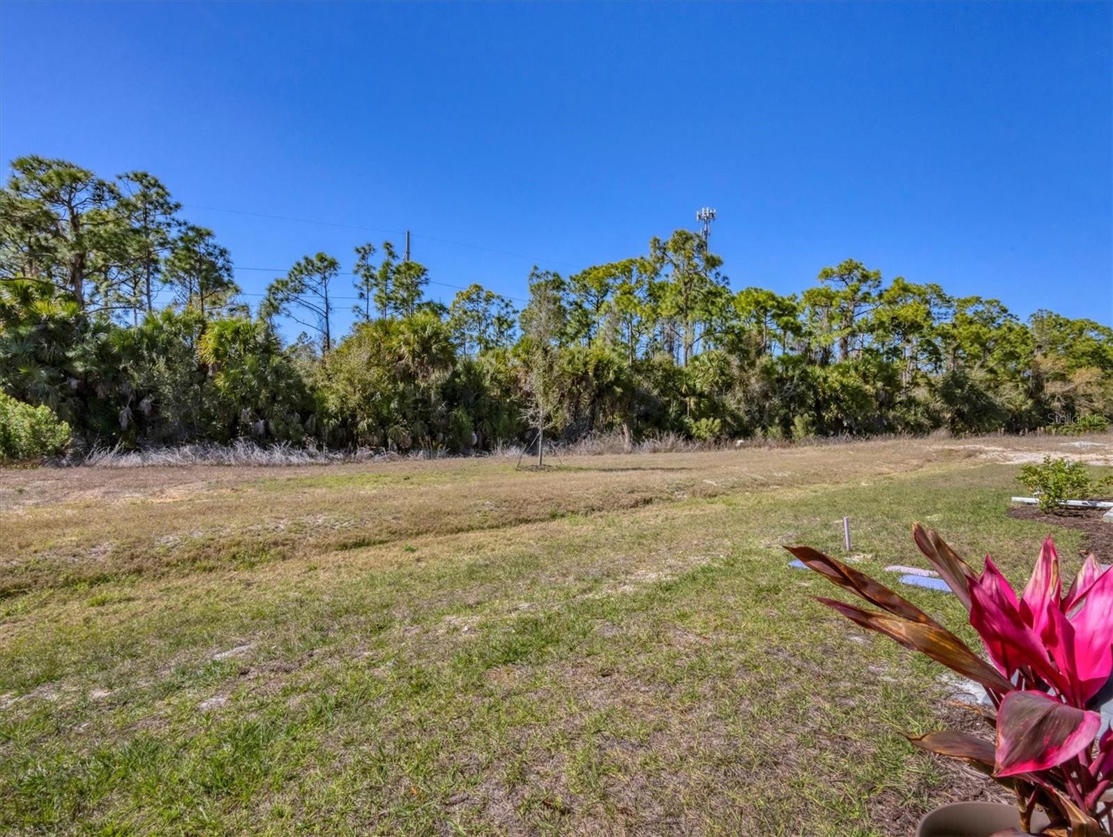 Image 32 of 66 For 6212 Dry Tortugas Drive