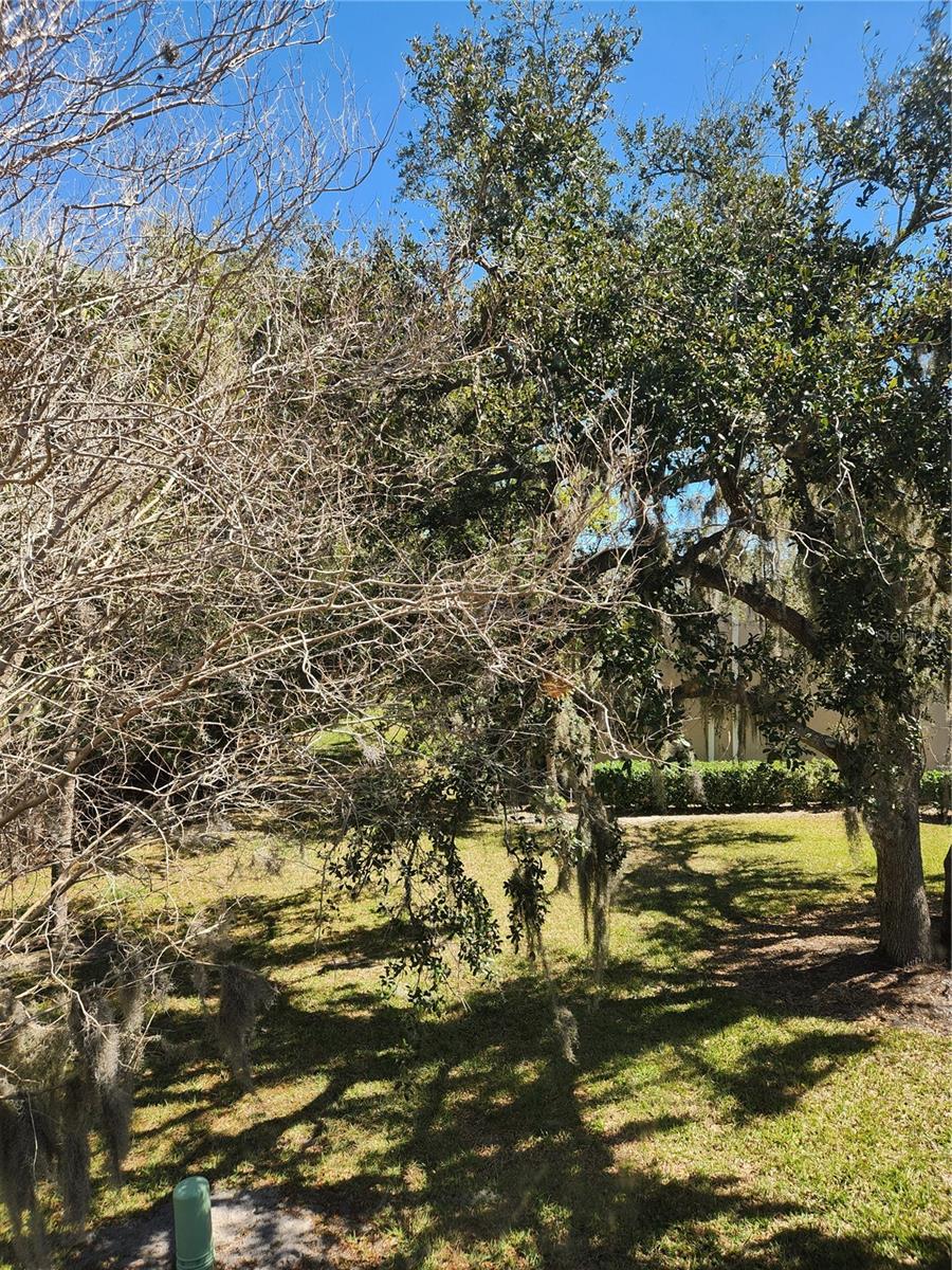 Image 20 of 35 For 3439 Tallywood Lane 7139