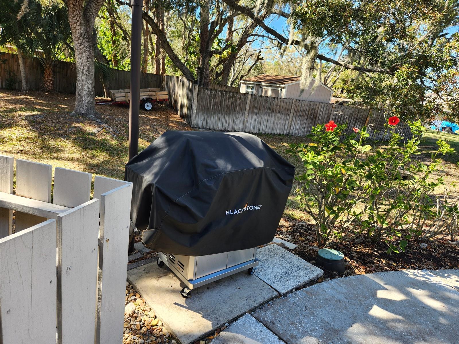 Image 32 of 35 For 3439 Tallywood Lane 7139