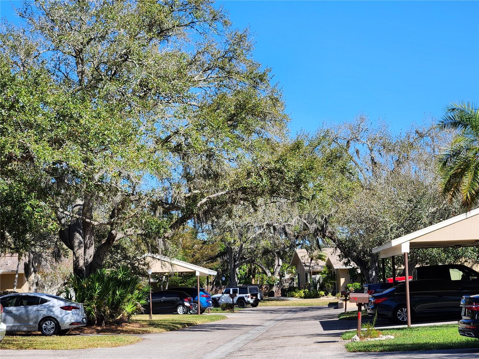 Image 34 of 35 For 3439 Tallywood Lane 7139