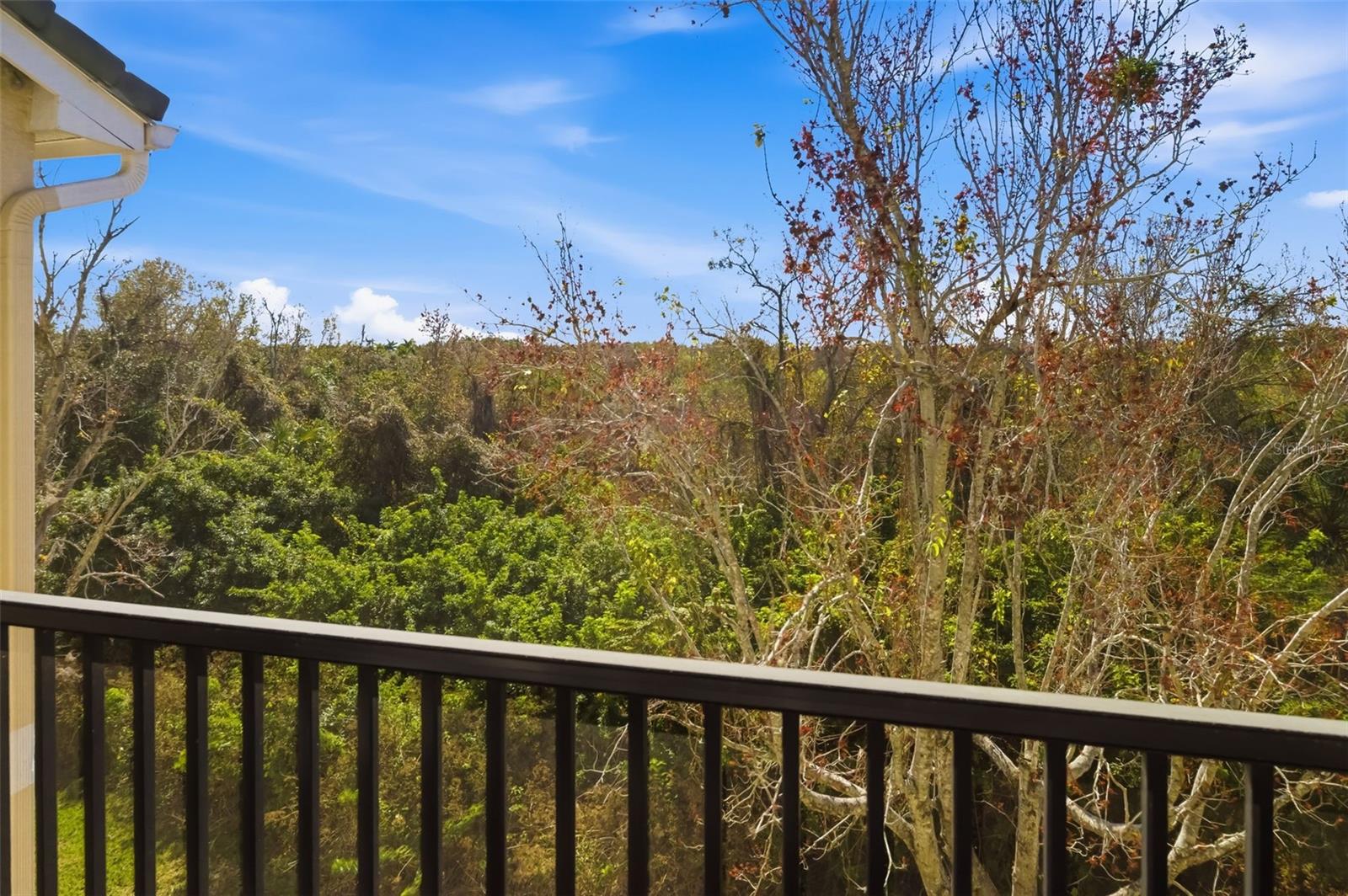 Image 23 of 39 For 5134 Northridge Road 309