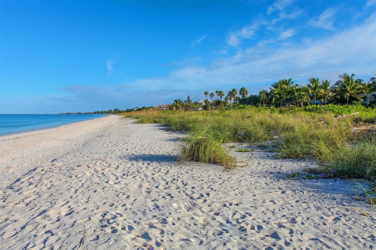 Image 55 of 58 For 1140 Beachcomber Court 11