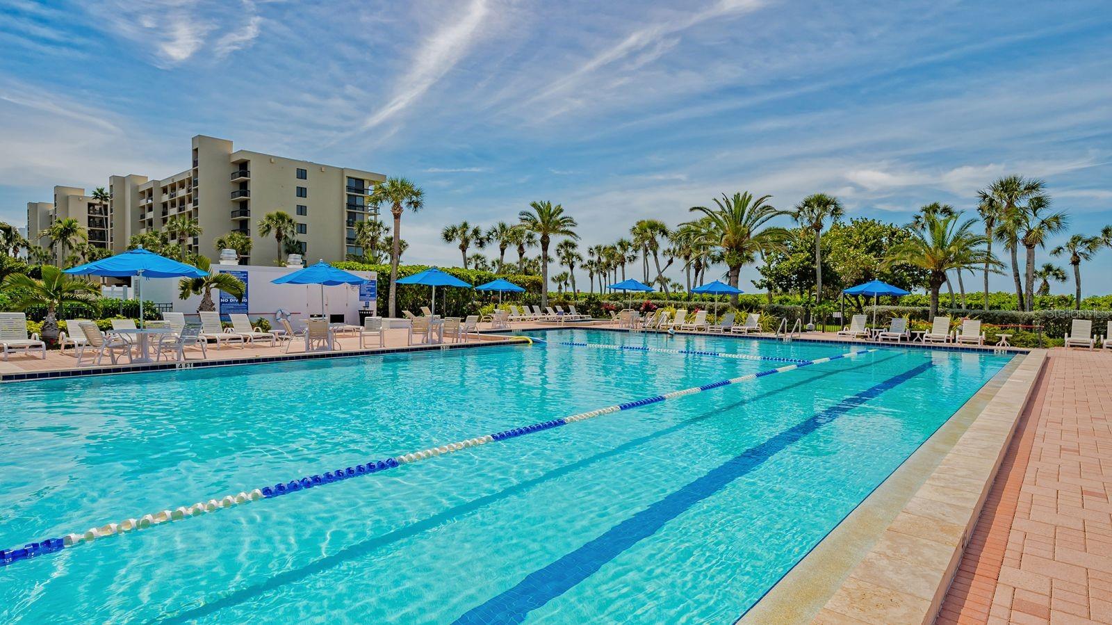 Image 30 of 45 For 1145 Gulf Of Mexico Drive 503