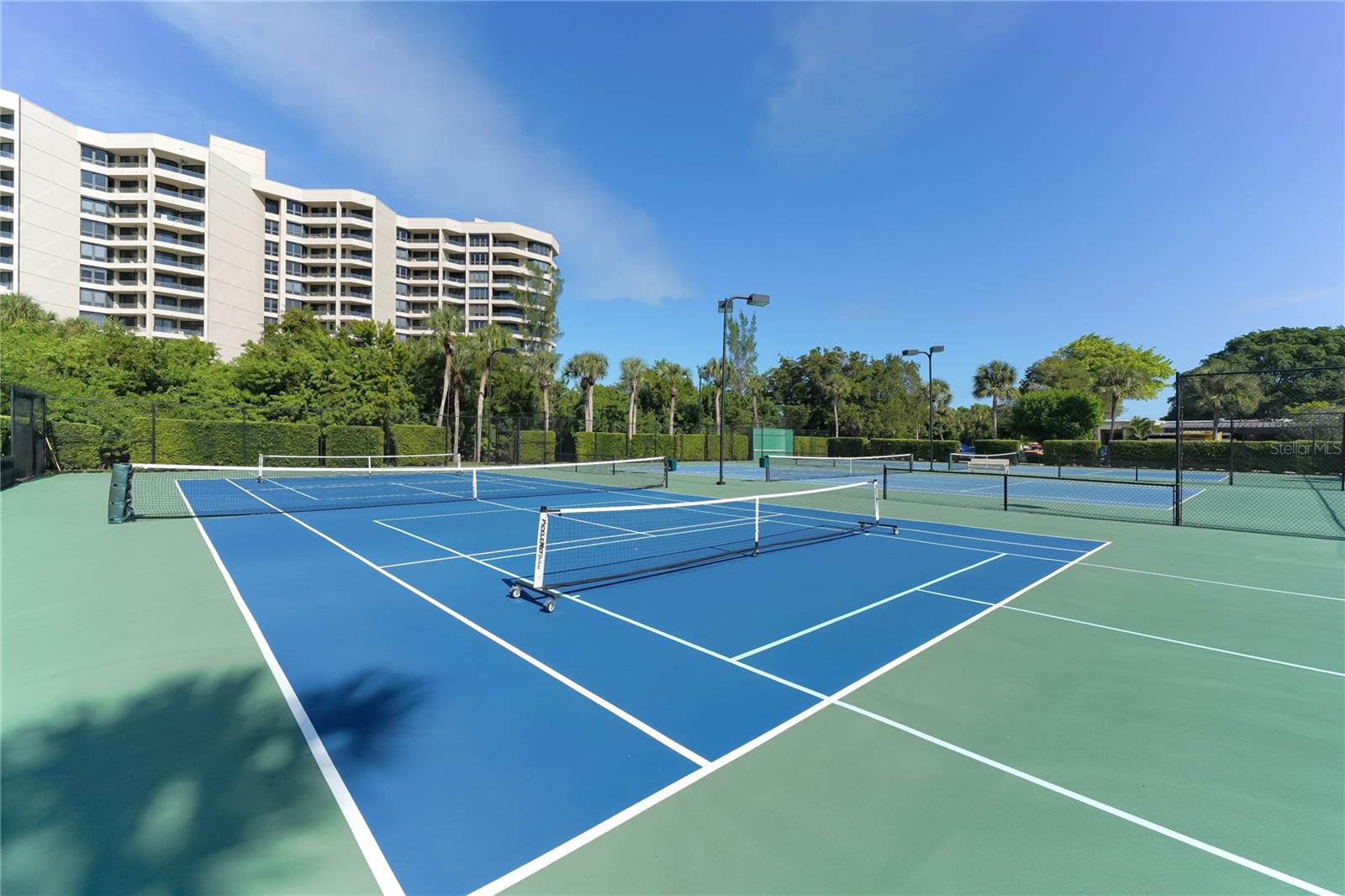 Image 41 of 45 For 1145 Gulf Of Mexico Drive 503