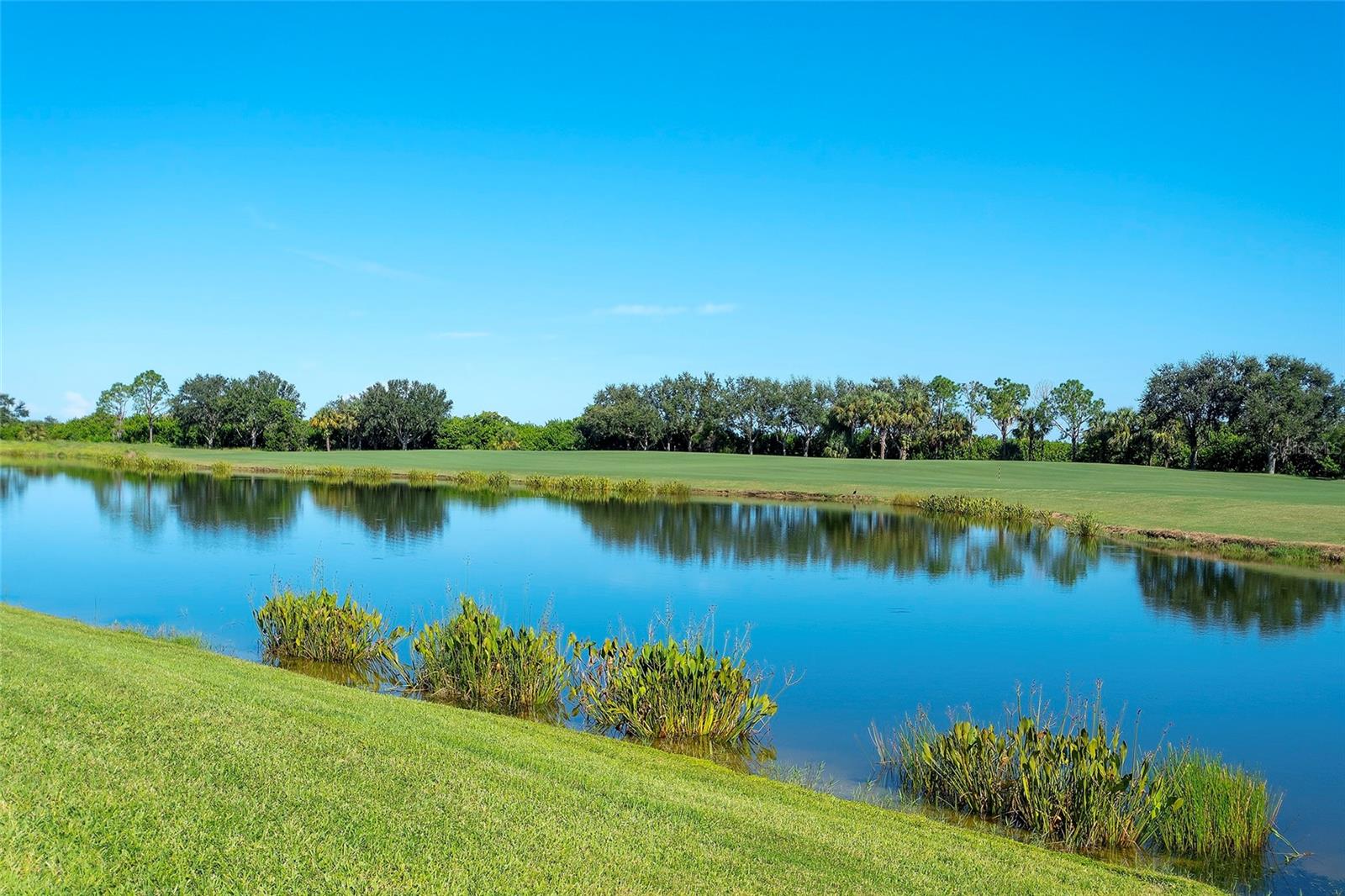 Image 20 of 42 For 7121 River Hammock Drive 303