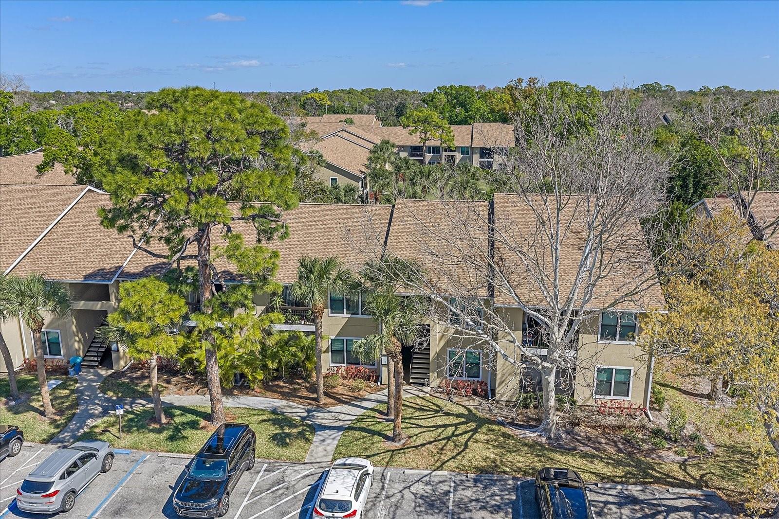 Image 38 of 39 For 4013 Crockers Lake Boulevard 1316