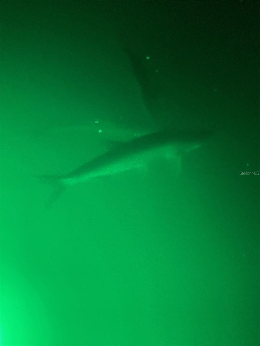 Image 47 of 49 For 490 Creek Lane Drive