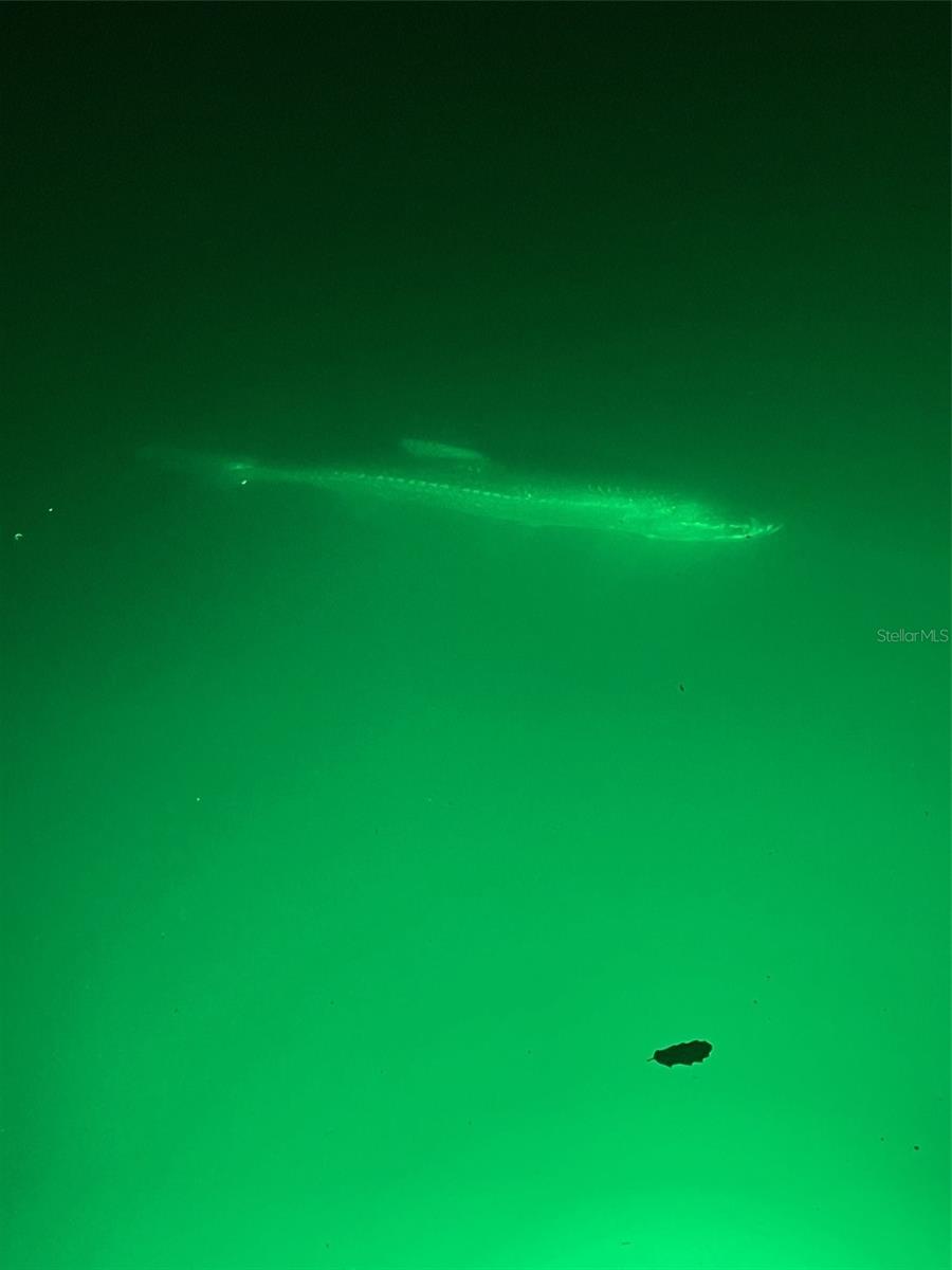 Image 48 of 49 For 490 Creek Lane Drive