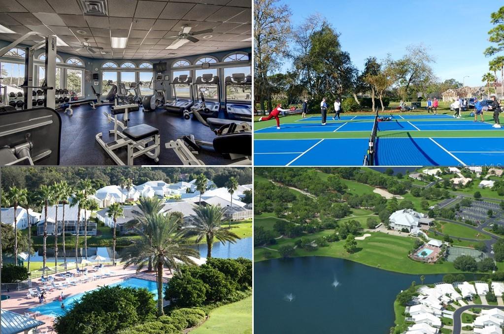 Image 47 of 47 For 9447 Ashley Drive