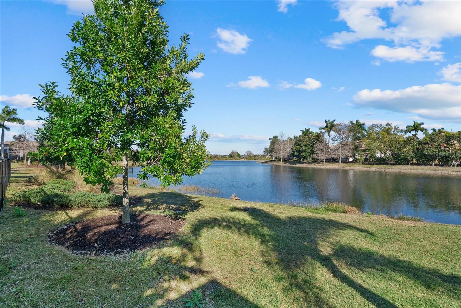 Image 35 of 61 For 7959 Matera Court