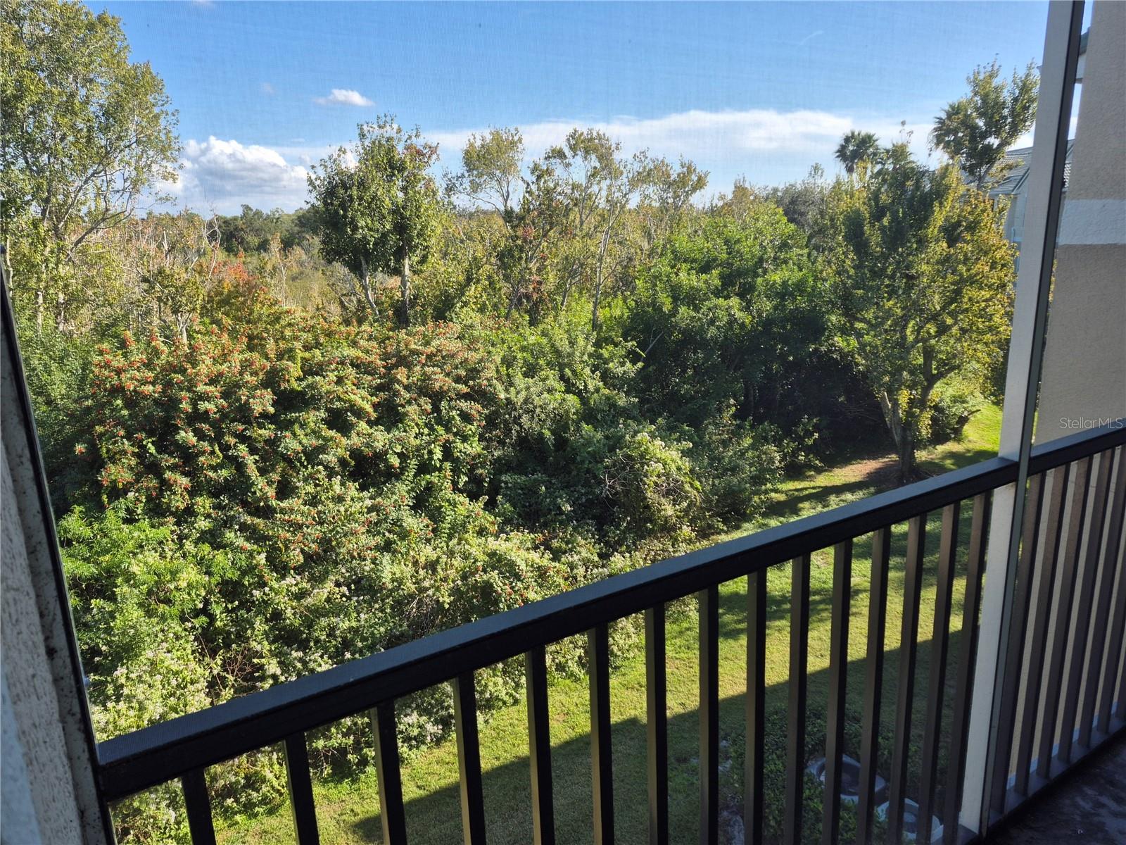 Image 5 of 14 For 5146 Northridge Road 309