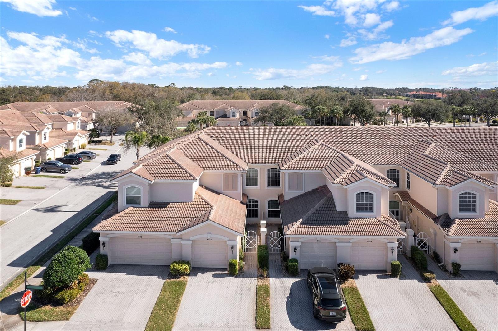 Image 5 of 32 For 4533 Cinnamon Drive 2707