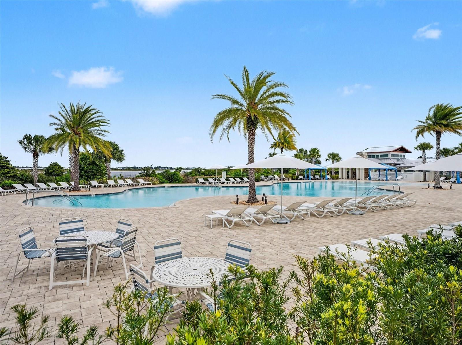 Image 39 of 40 For 2388 Datura Loop