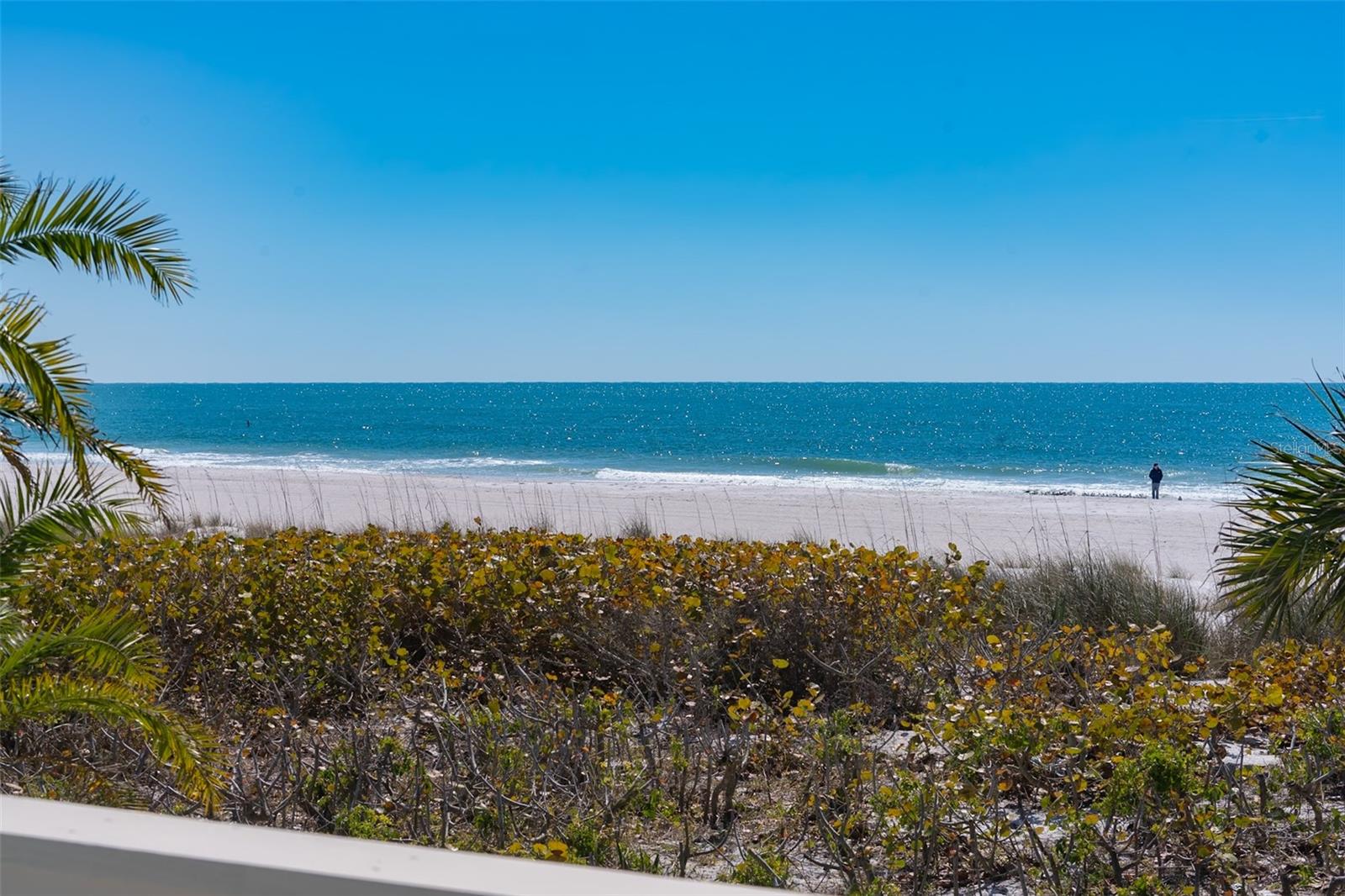 Image 30 of 42 For 103 Palm Avenue