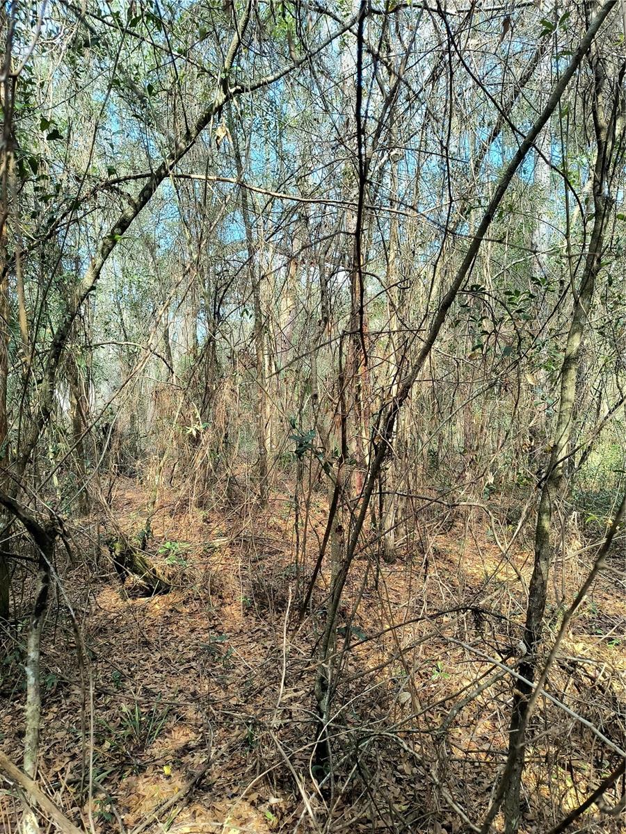 Image 10 of 15 For 000 First Street