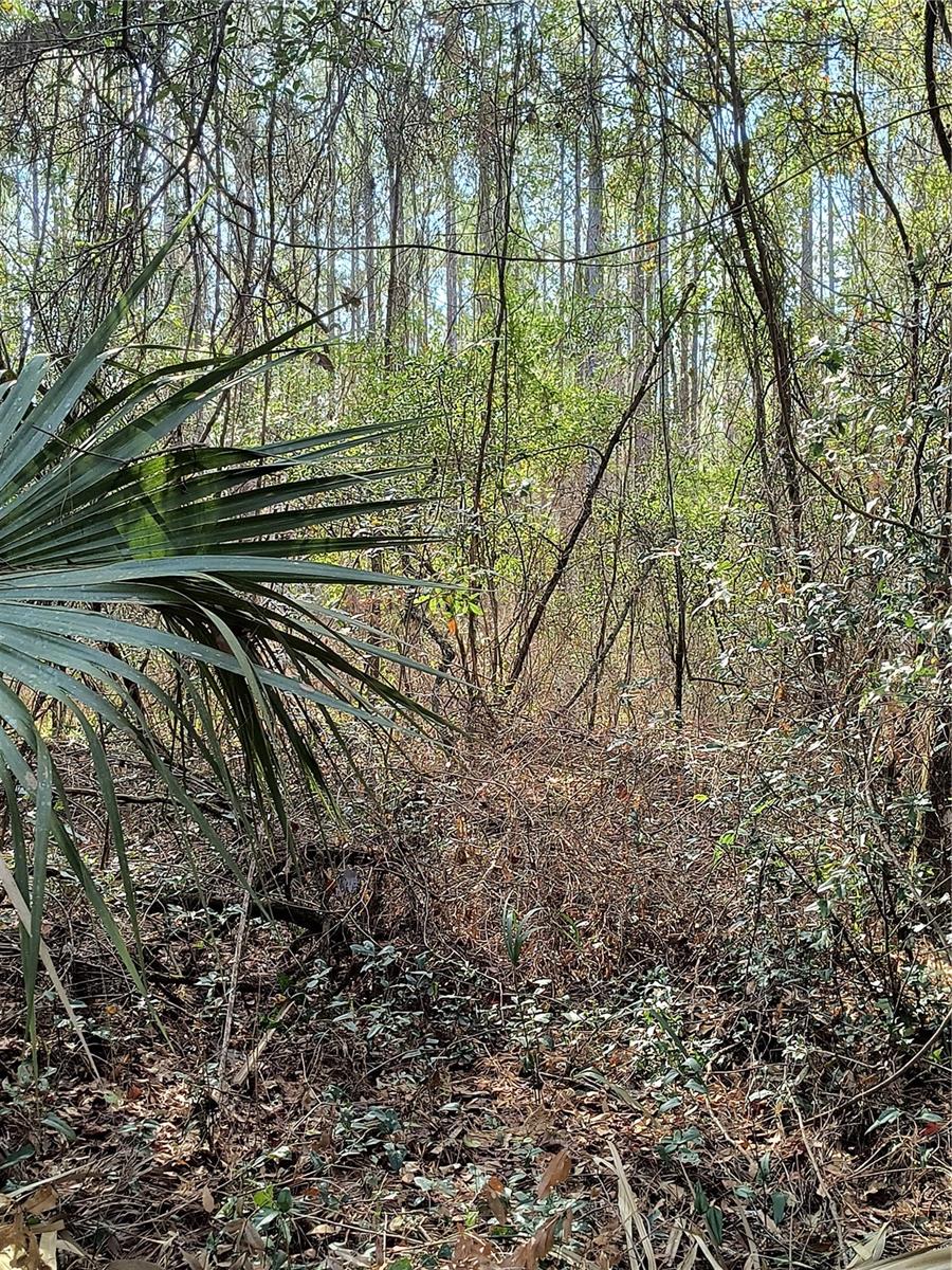 Image 11 of 15 For 000 First Street