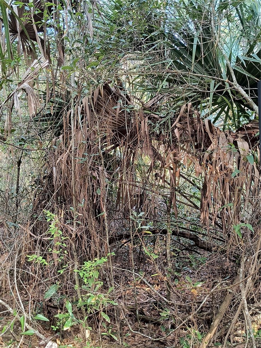 Image 12 of 15 For 000 First Street