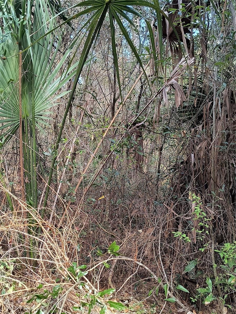 Image 13 of 15 For 000 First Street