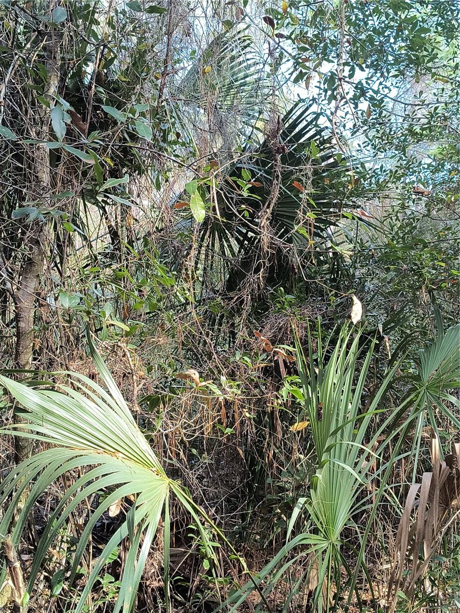 Image 14 of 15 For 000 First Street