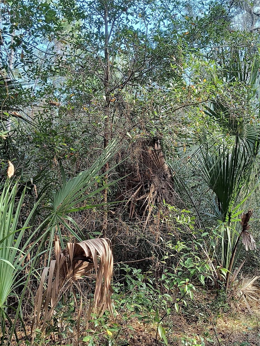 Image 15 of 15 For 000 First Street