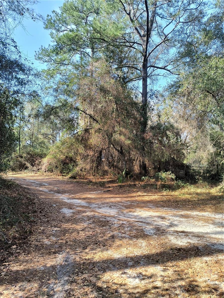 Image 5 of 15 For 000 First Street