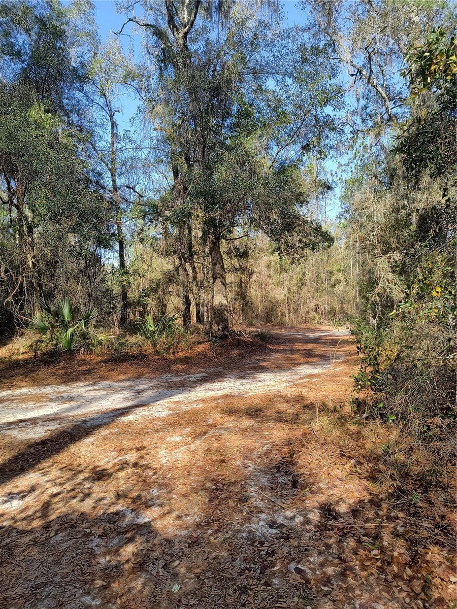 Image 6 of 15 For 000 First Street