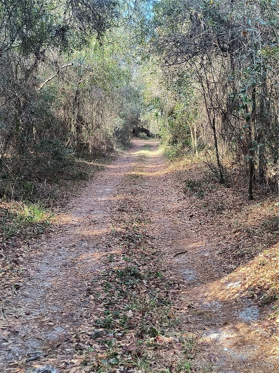 Image 7 of 15 For 000 First Street