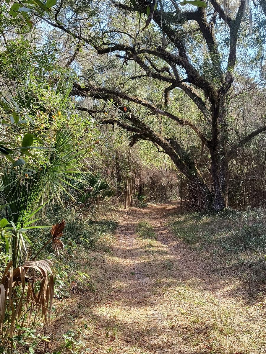 Image 8 of 15 For 000 First Street