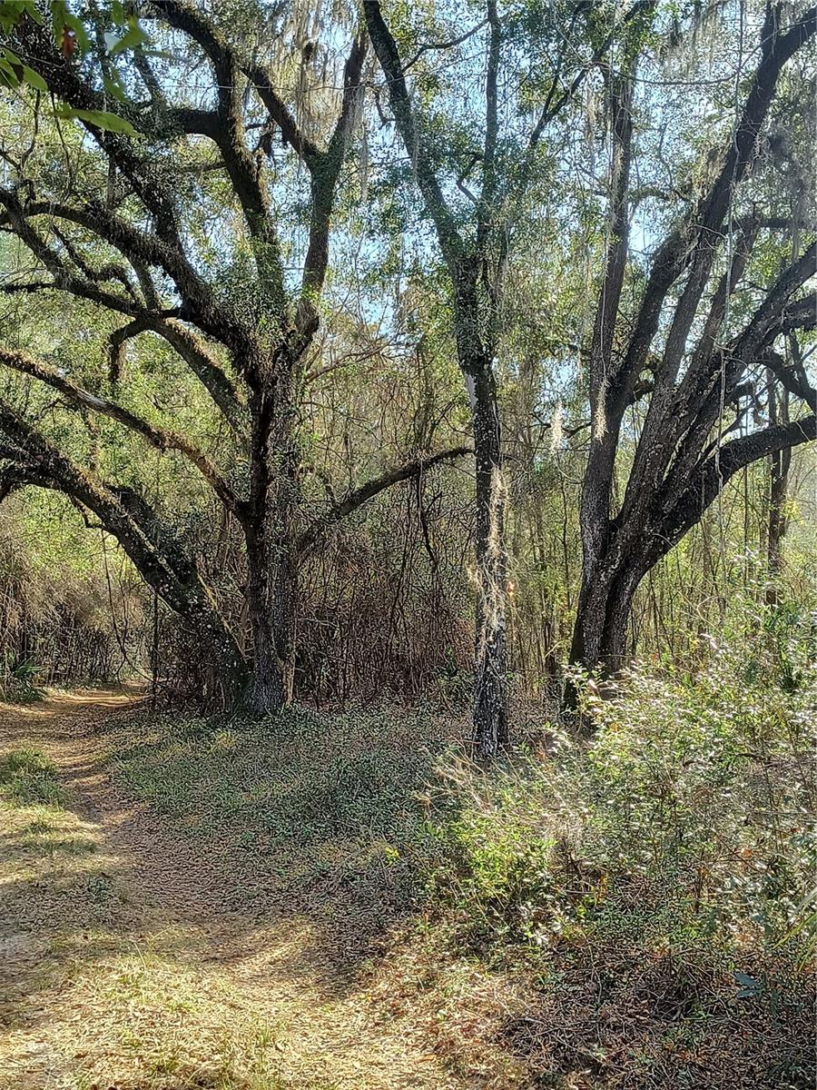 Image 9 of 15 For 000 First Street