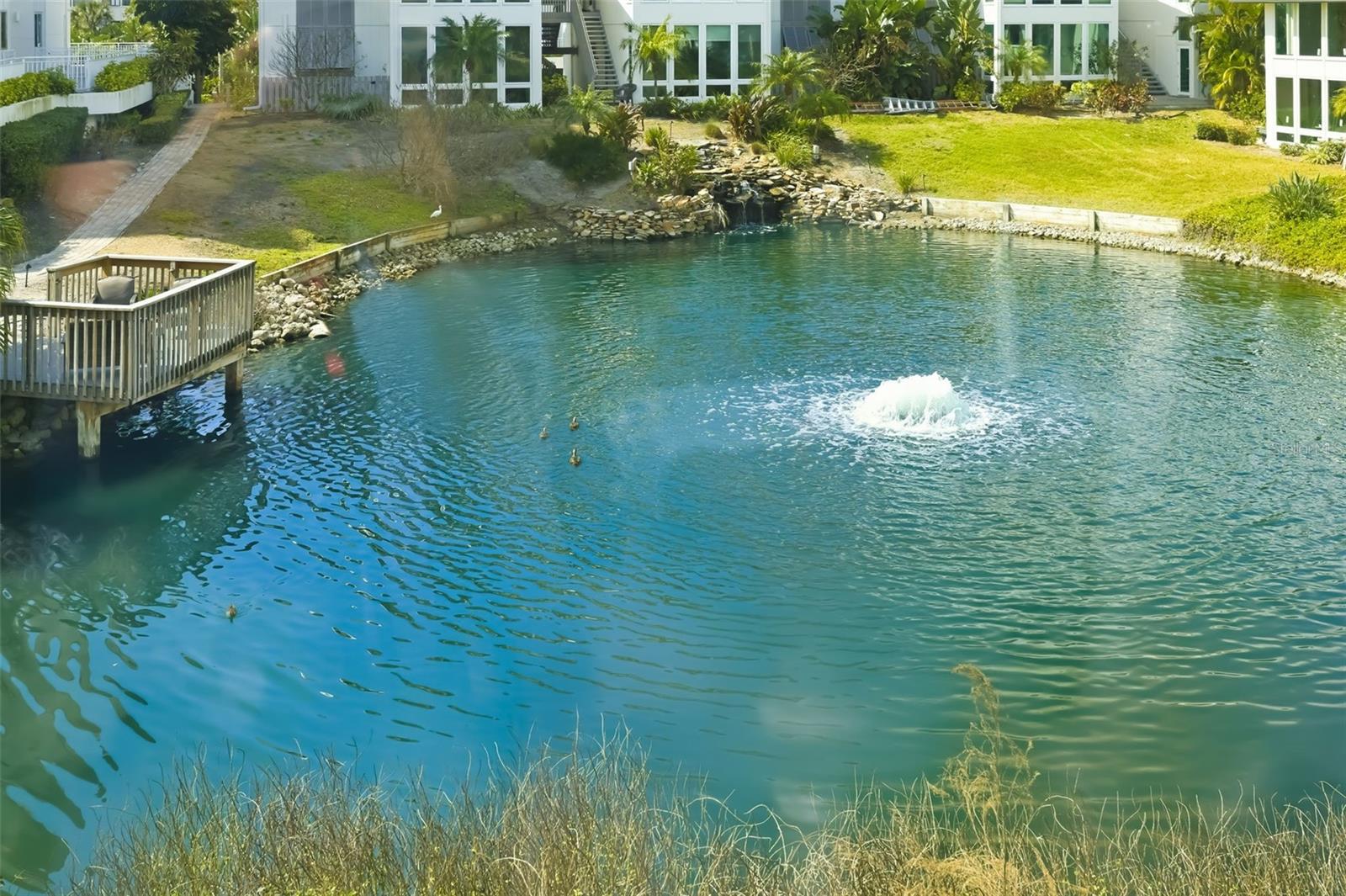 Image 22 of 65 For 1169 Peppertree Drive 118a