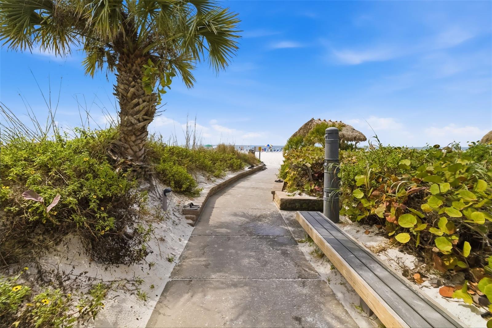 Image 46 of 65 For 1169 Peppertree Drive 118a