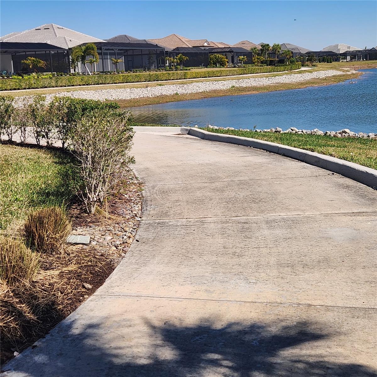 Image 15 of 15 For 512 Blue Shell Loop