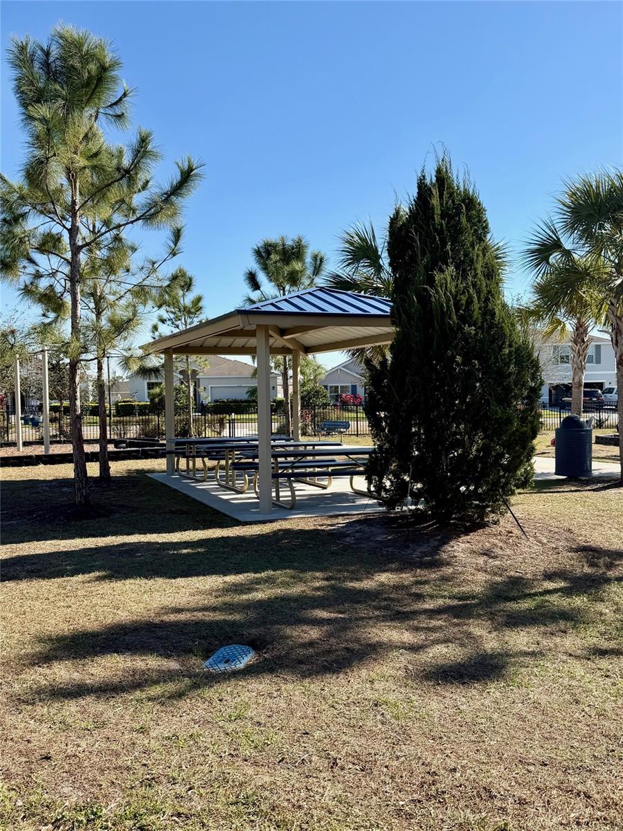 Image 41 of 43 For 12338 Dora Trail