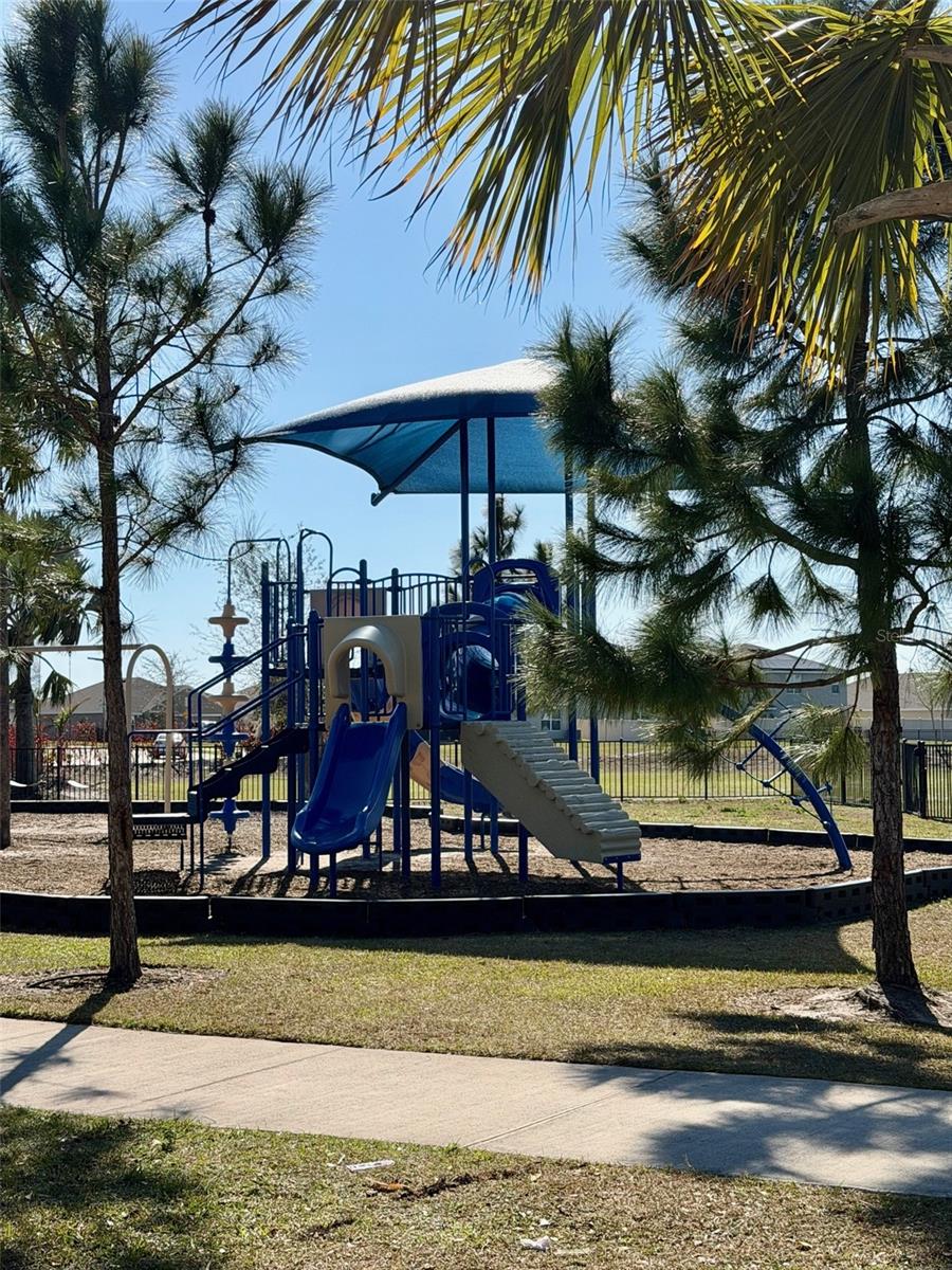 Image 42 of 43 For 12338 Dora Trail