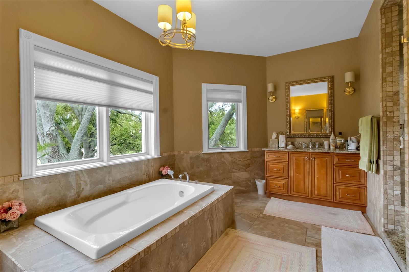 Image 39 of 63 For 4079 Las Palmas Way