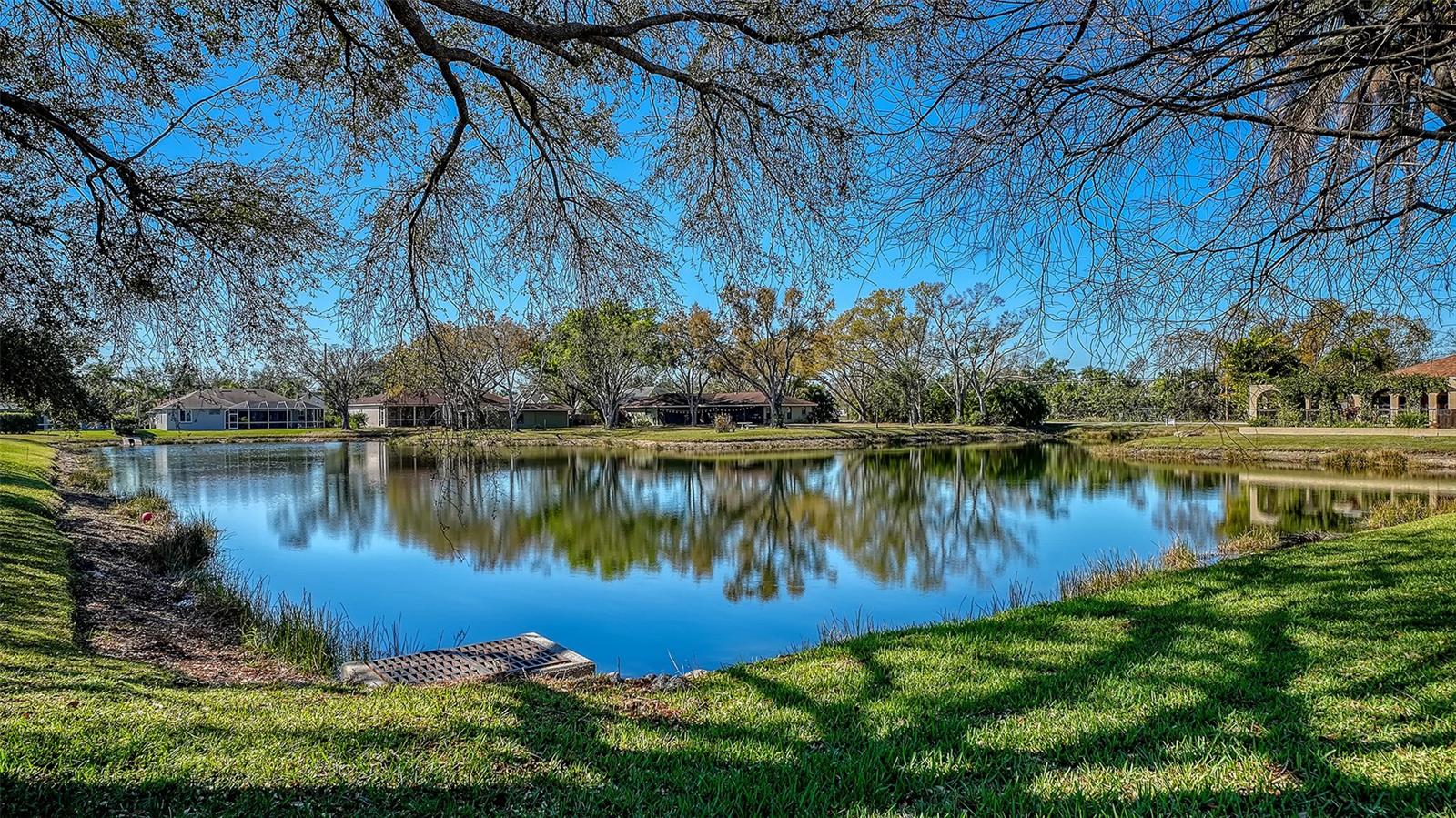 Image 47 of 53 For 5566 Magnolia Tree Terrace