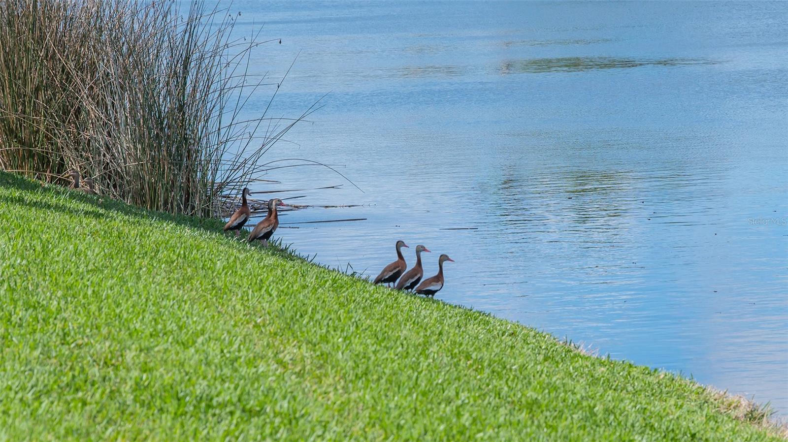 Image 50 of 62 For 2928 Seasons Boulevard