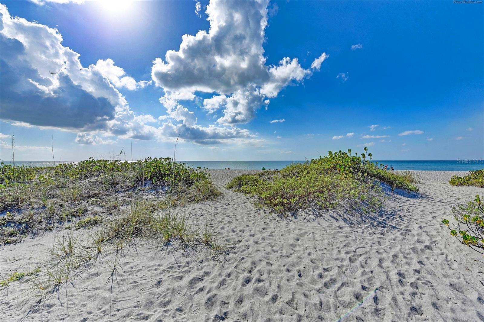 Listing photo id 21 for 817 Harbor Drive S