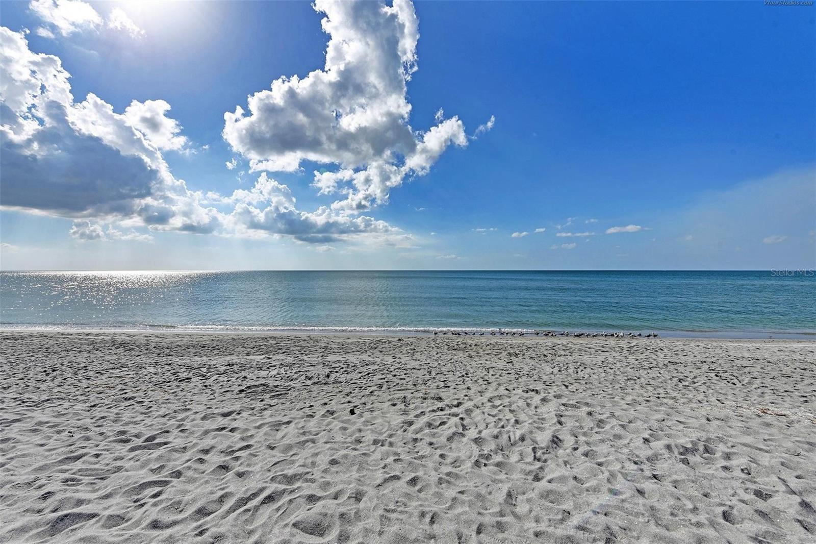 Listing photo id 22 for 817 Harbor Drive S