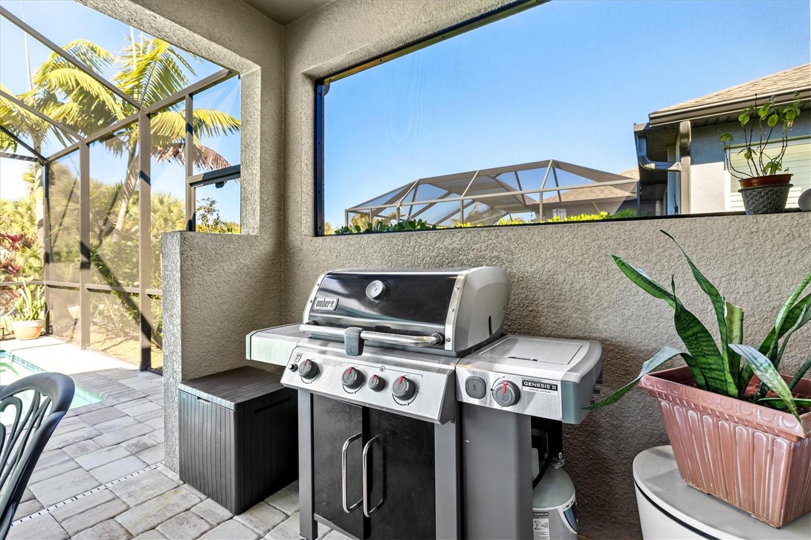 Image 53 of 91 For 12709 Lateral Root Drive