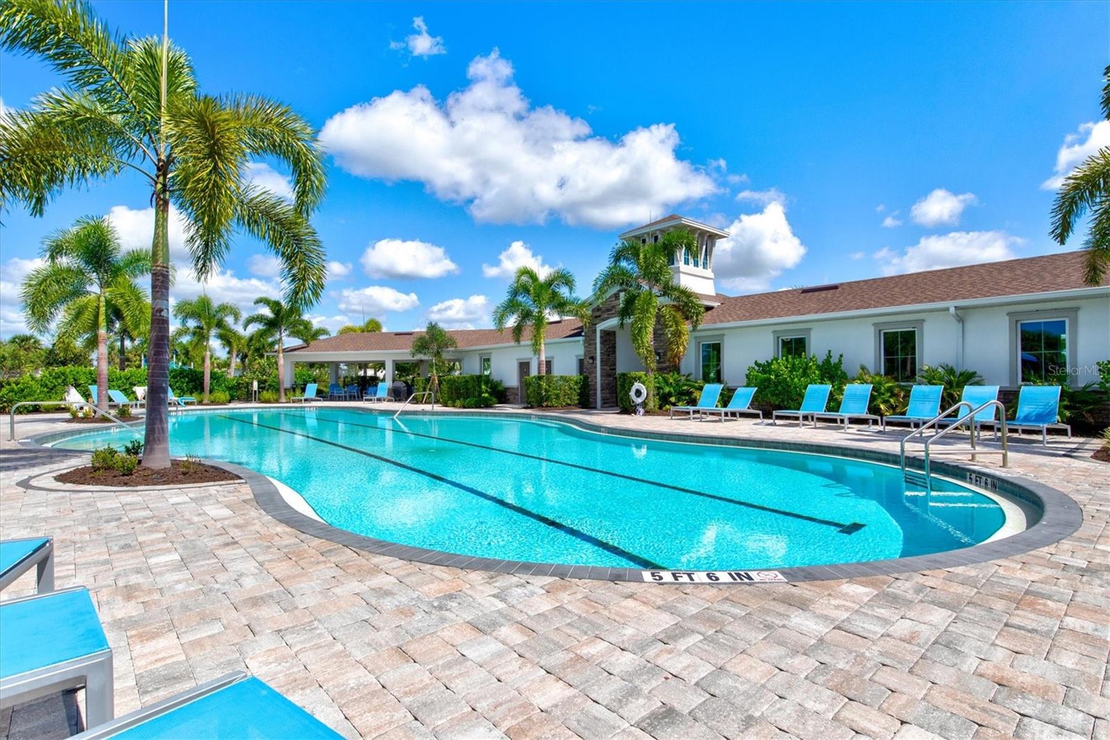 Image 64 of 91 For 12709 Lateral Root Drive