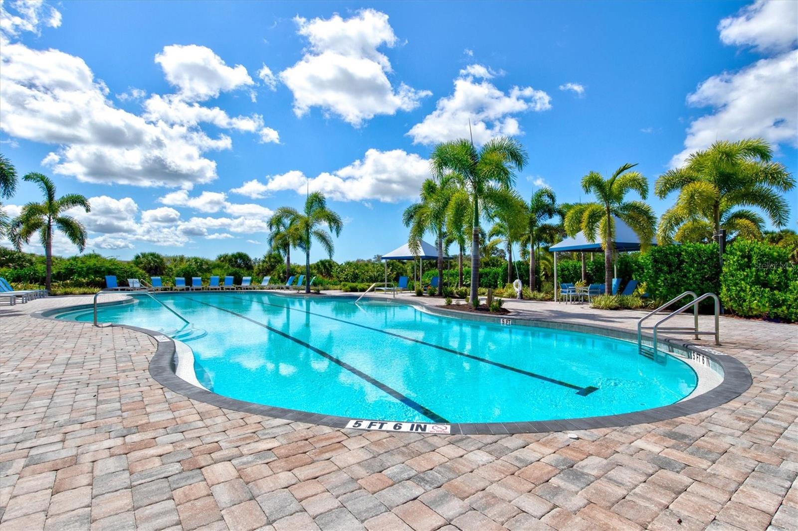 Image 65 of 91 For 12709 Lateral Root Drive